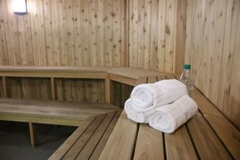 Sauna room